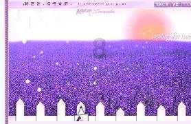 探索问答新视界,尽在战舰激斗破解版内置修改器